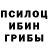 Галлюциногенные грибы мухоморы ELFARIA
