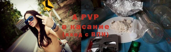 ПСИЛОЦИБИНОВЫЕ ГРИБЫ Приозерск