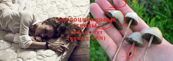 прущий лед Алексин
