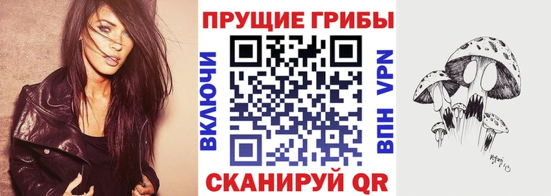 площадка как зайти  цены   Грязовец  Псилоцибиновые грибы GOLDEN TEACHER 