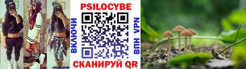 Галлюциногенные грибы мухоморы Грязовец