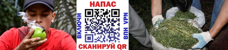 ссылка на мегу онион  Грязовец  Канабис Bruce Banner 